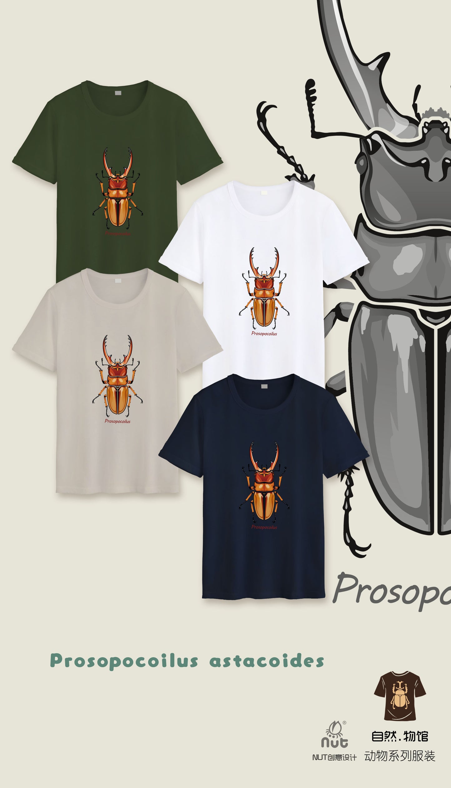 T-shirt Prosopocoilus astacoides