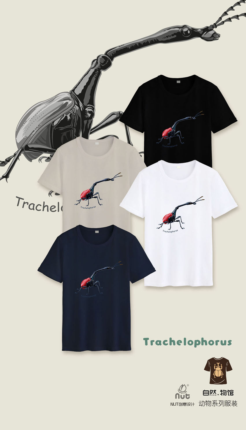 T-shirt Trachelophorus