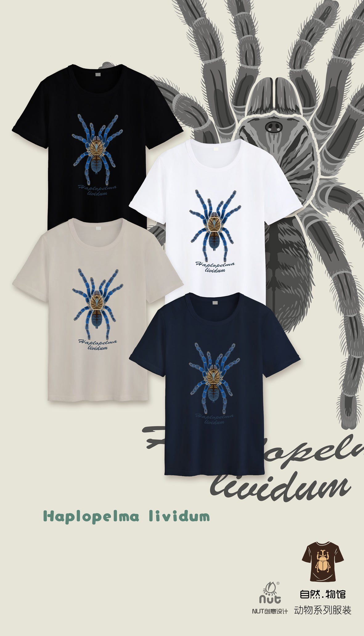T-shirt Haplopelma lividum