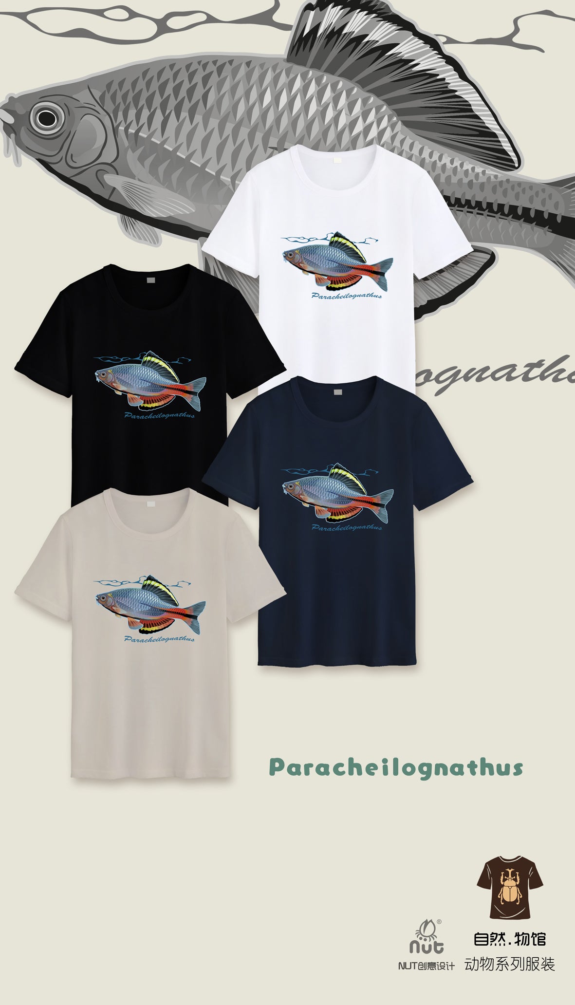 T-shirt Paracheilognathus 