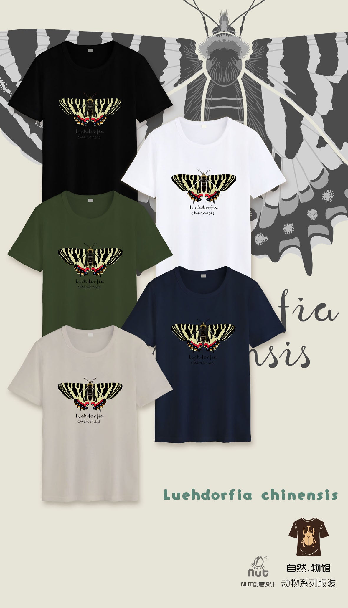 T-shirt Luehdorfia chinensis