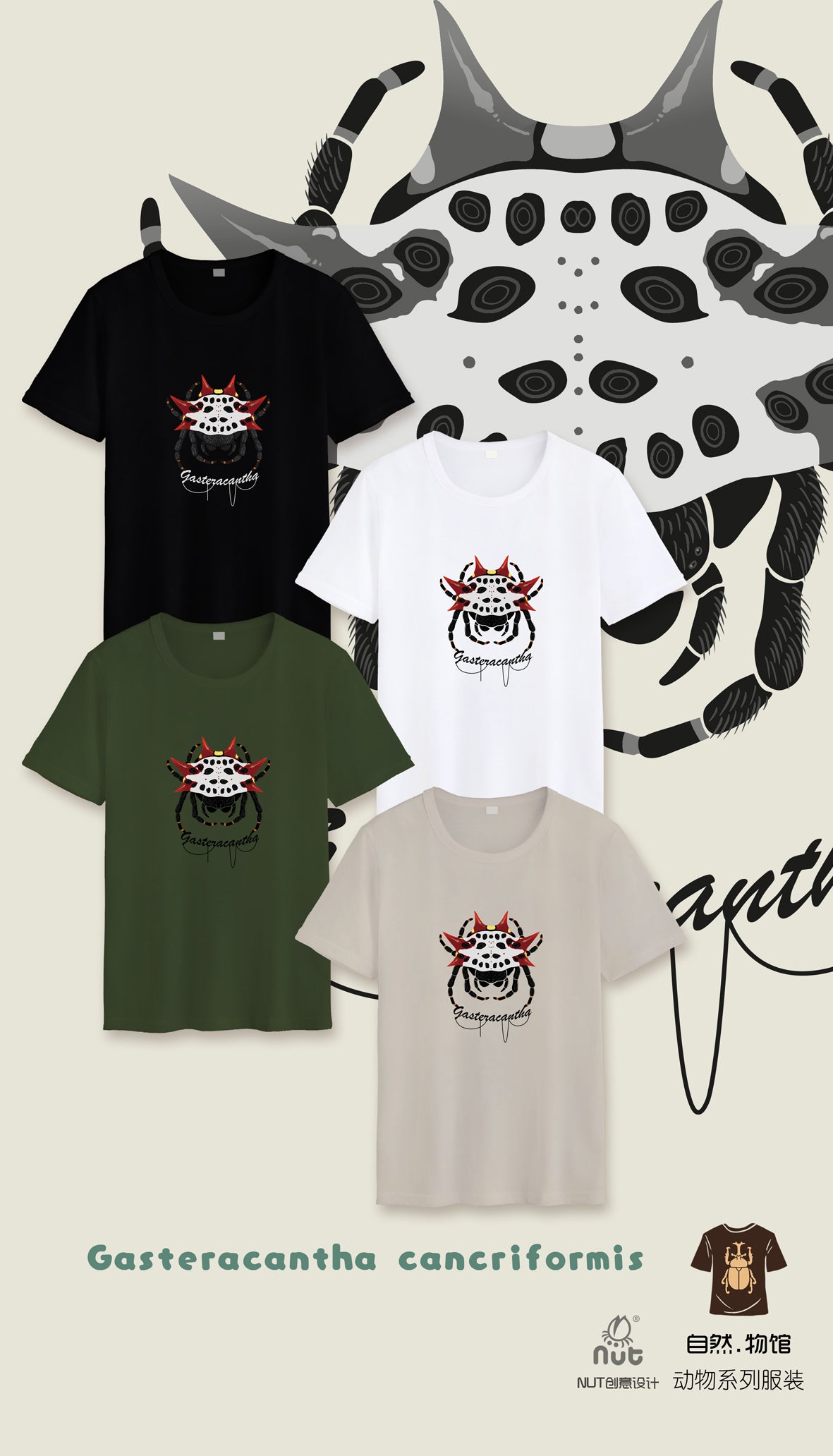 T-shirt Gasteracantha cancriformis