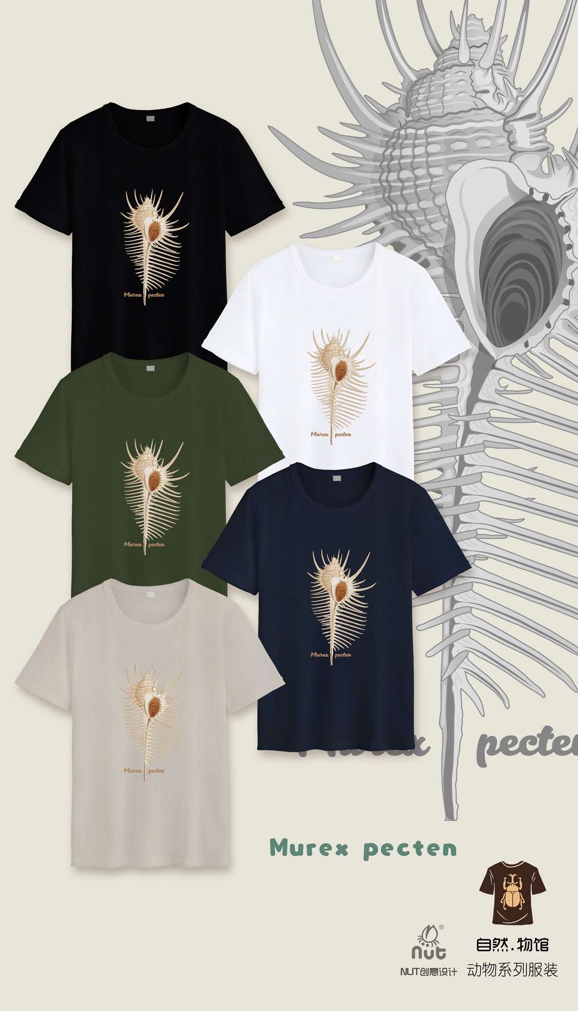 T-shirt Murex pecten