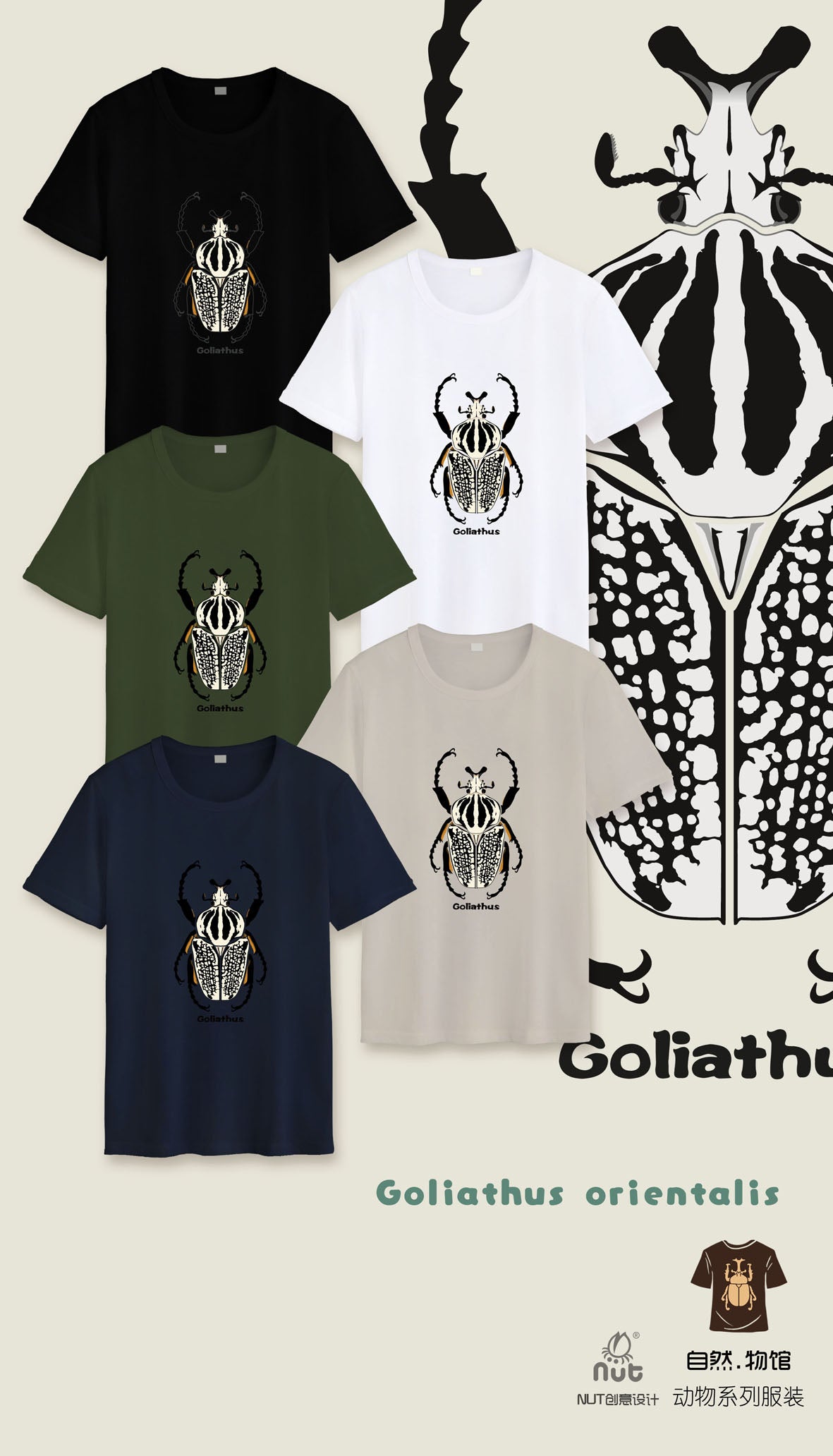T-shirt Goliathus orientalis