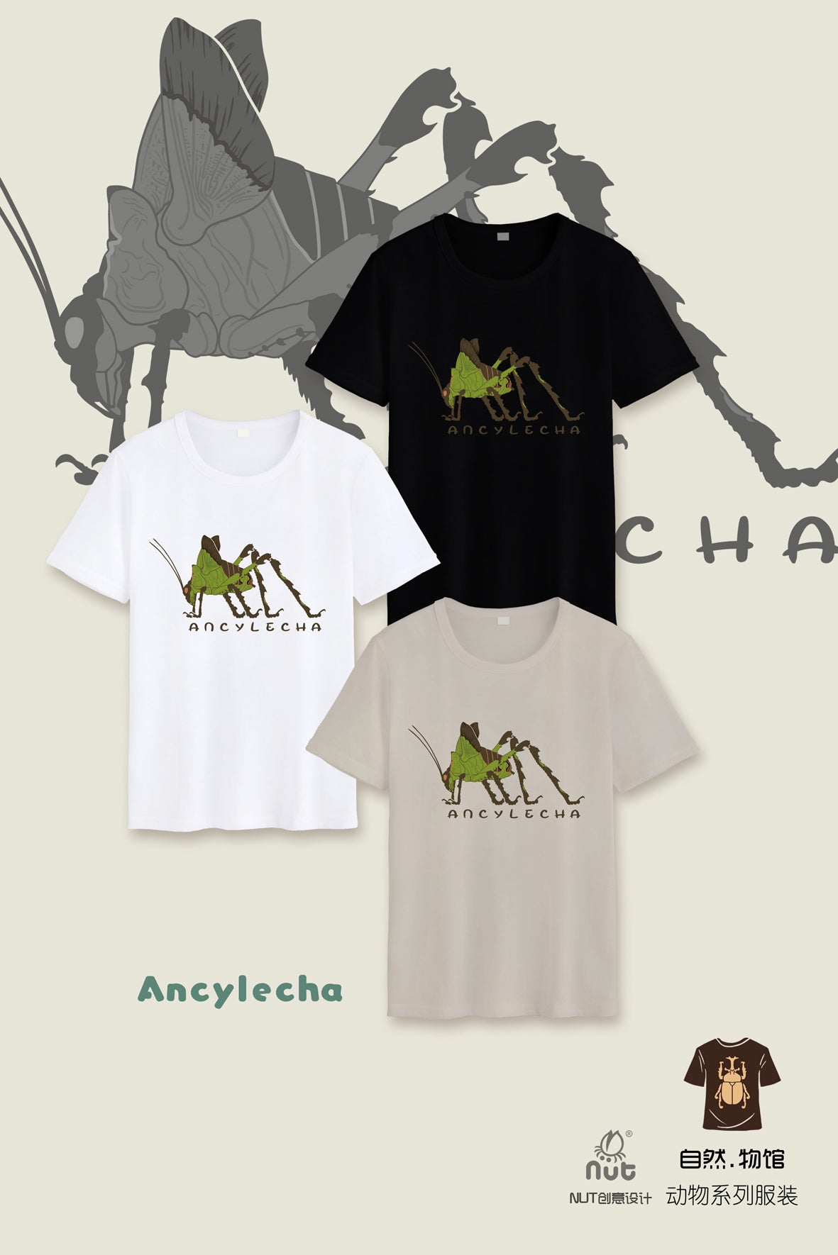 T-shirt Ancylecha