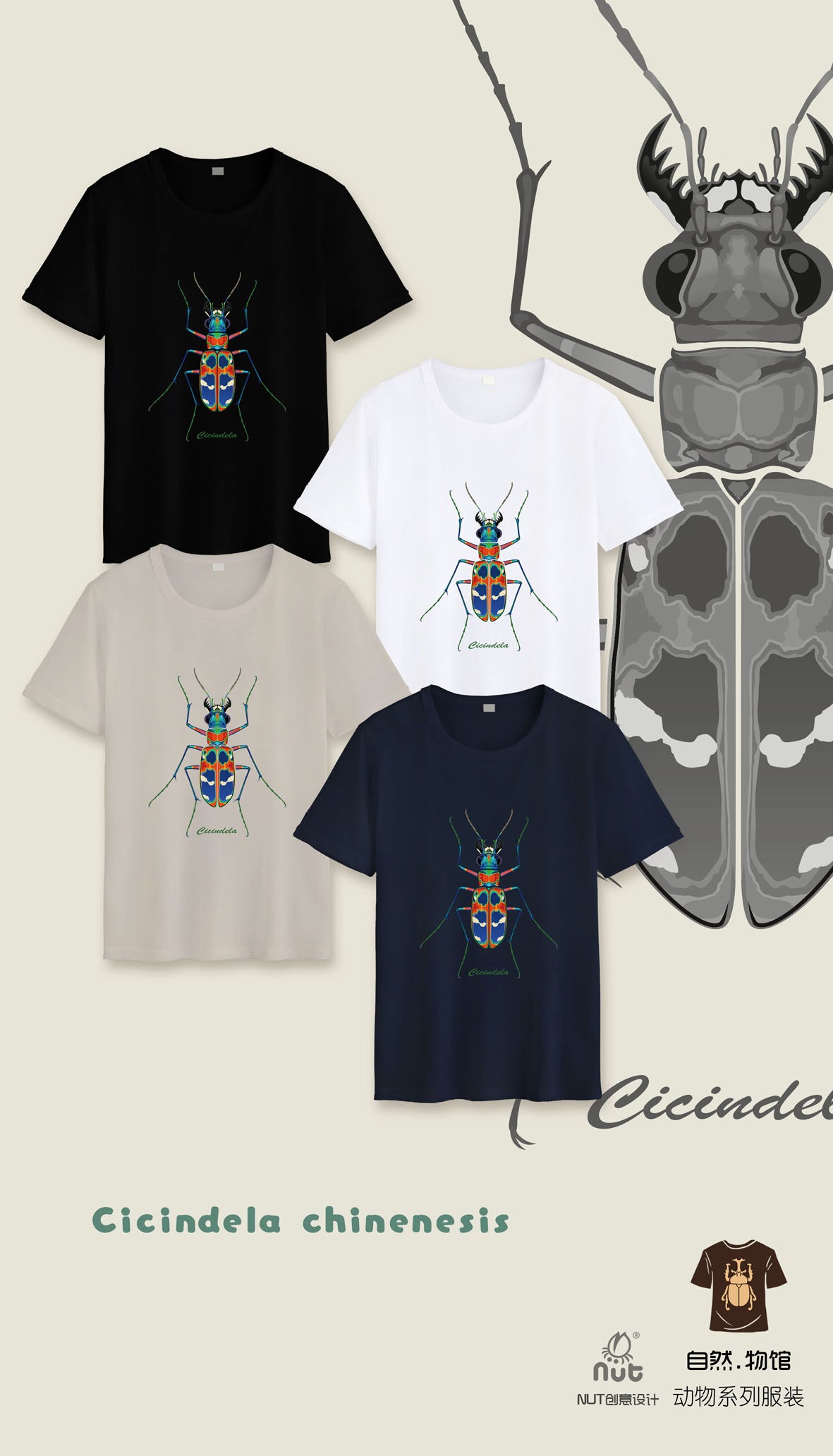 T-shirt Cicindela chinenesis