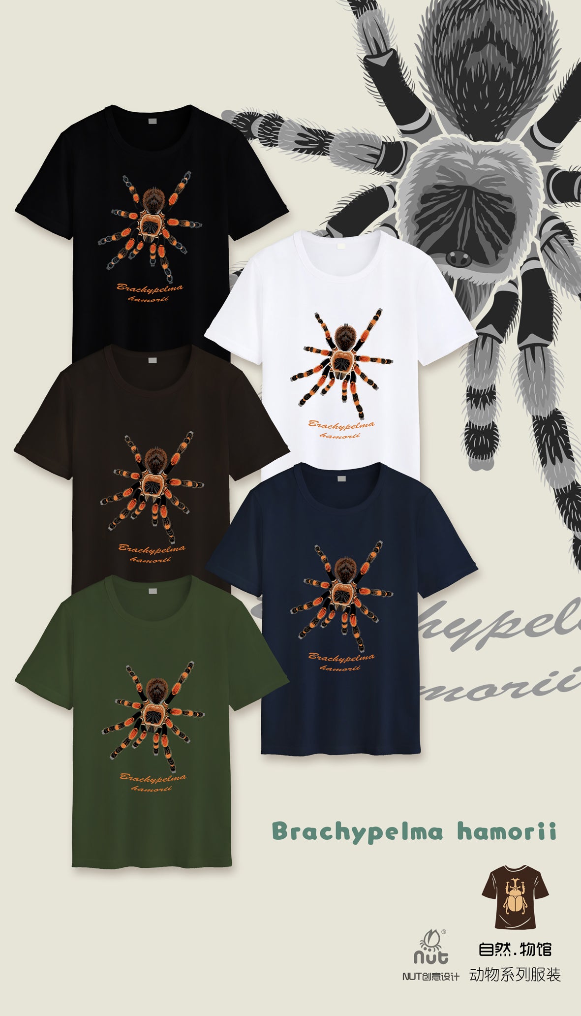 T-shirt Brachypelma hamorii