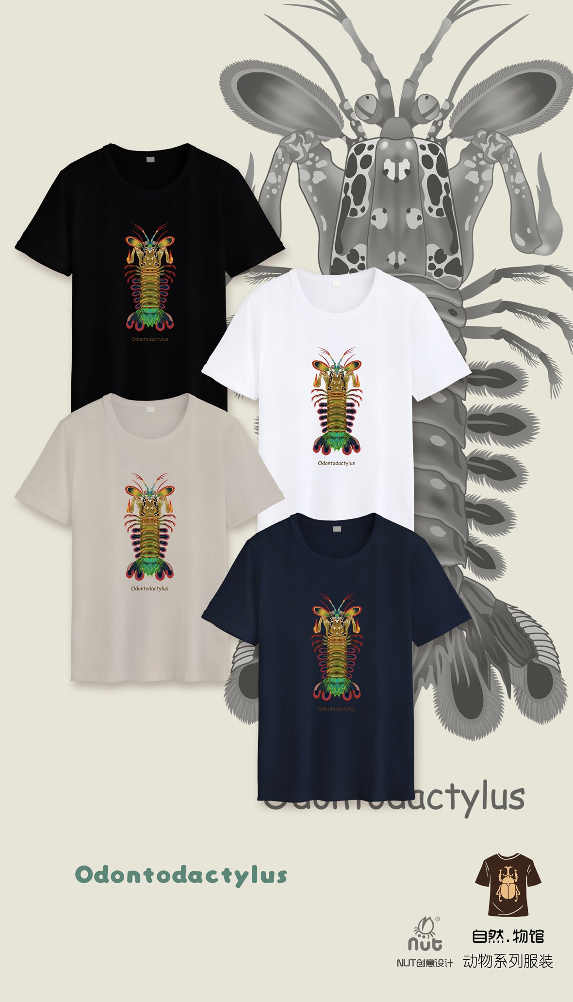 T-shirt Odontodactylus