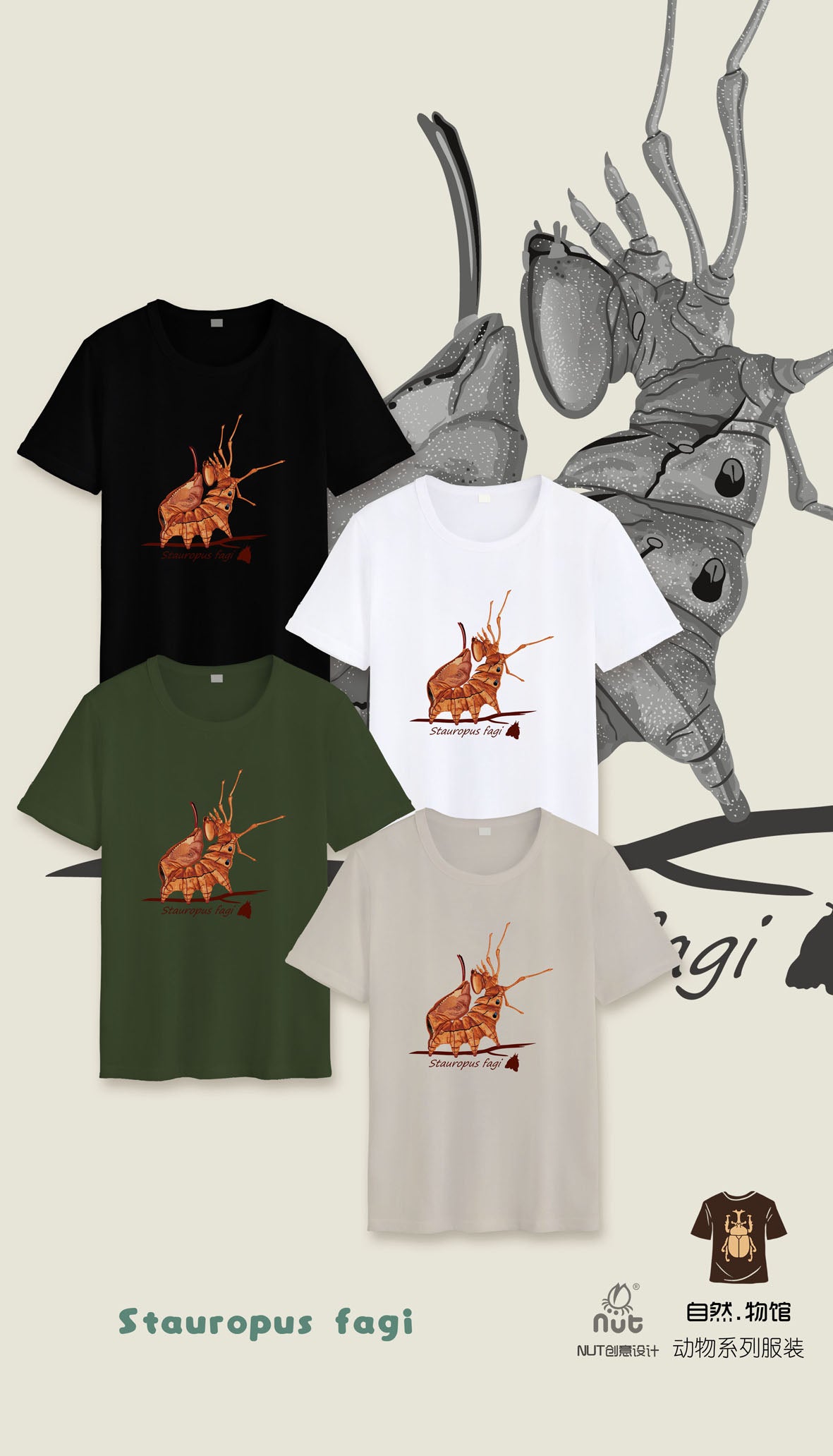 T-shirt Stauropus fagi