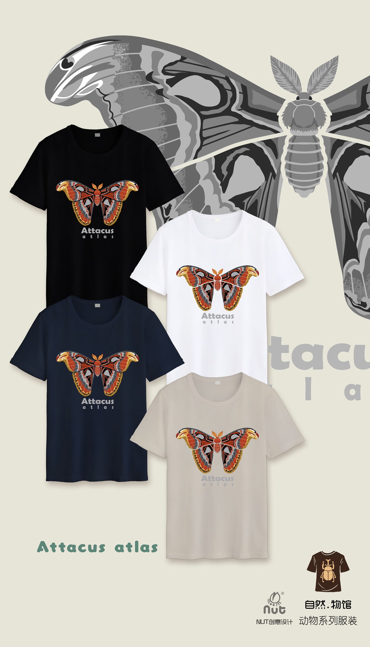 T-shirt Attacus atlas