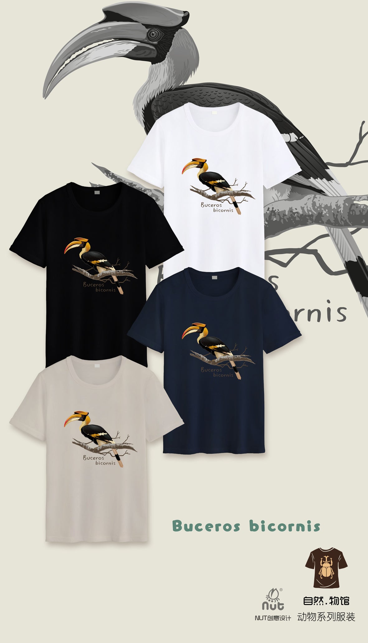 T-shirt Buceros bicornis