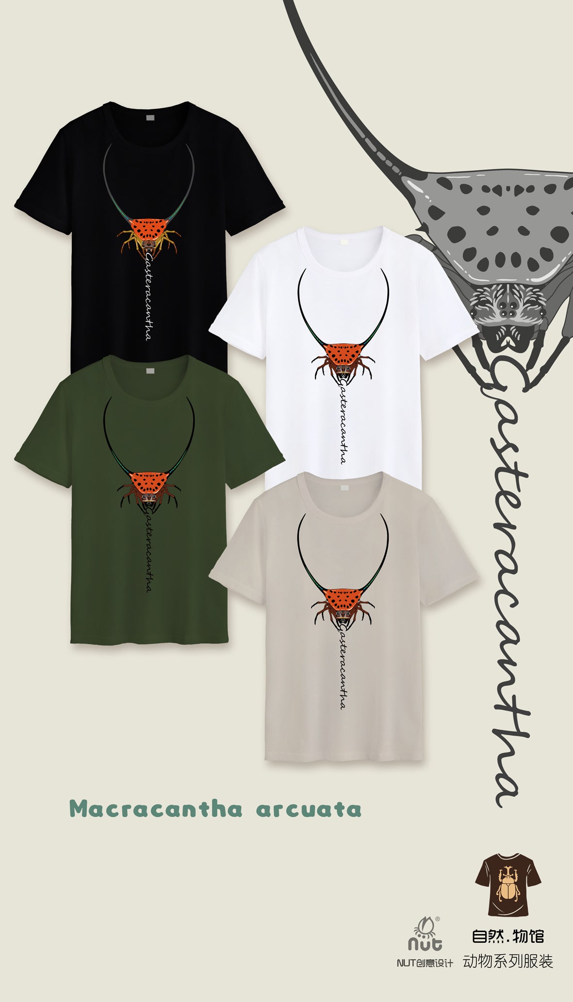 T-shirt Macracantha arcuata