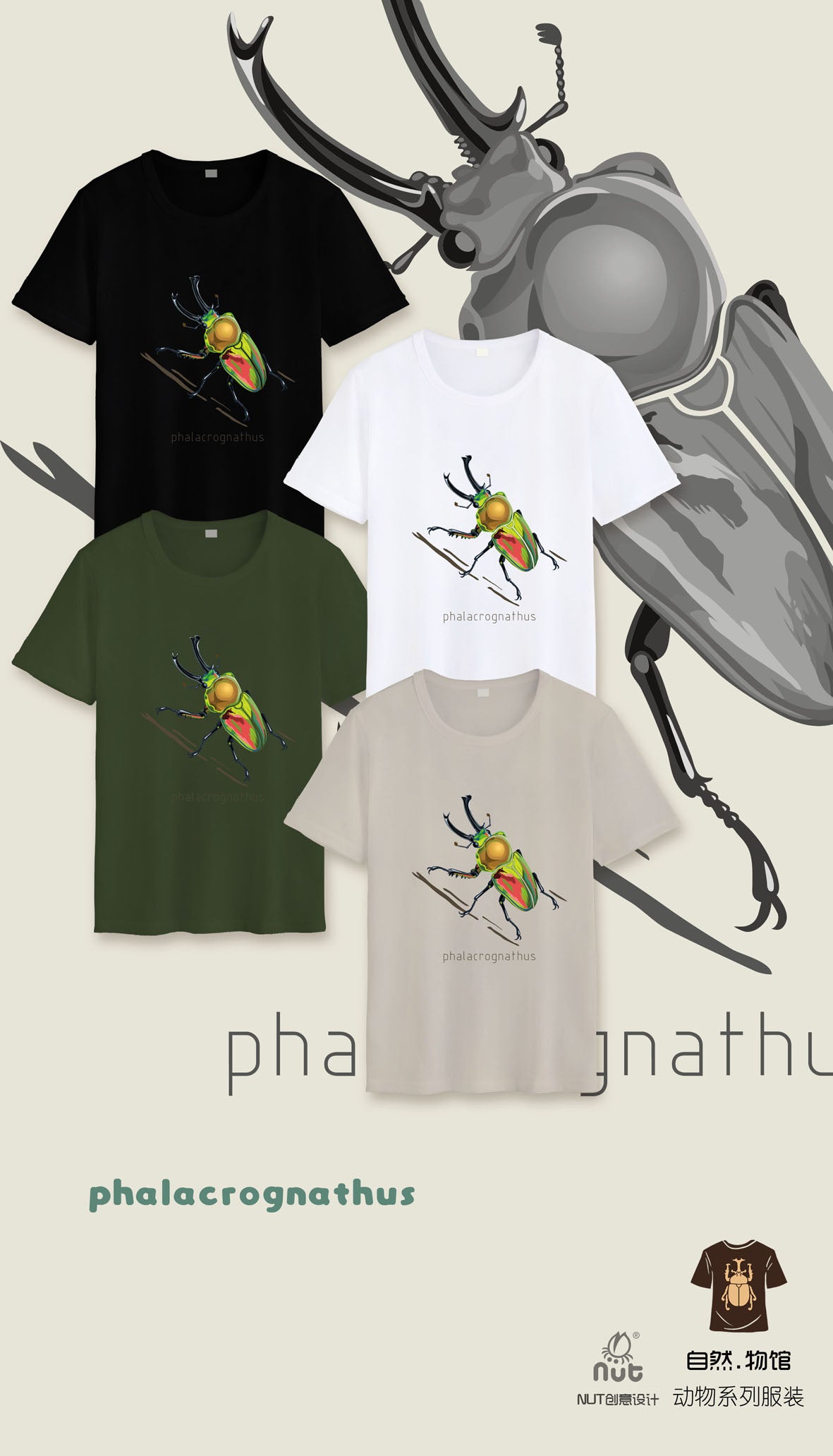 T-shirt Phalacrognathus mulleri “Rainbow beetle”