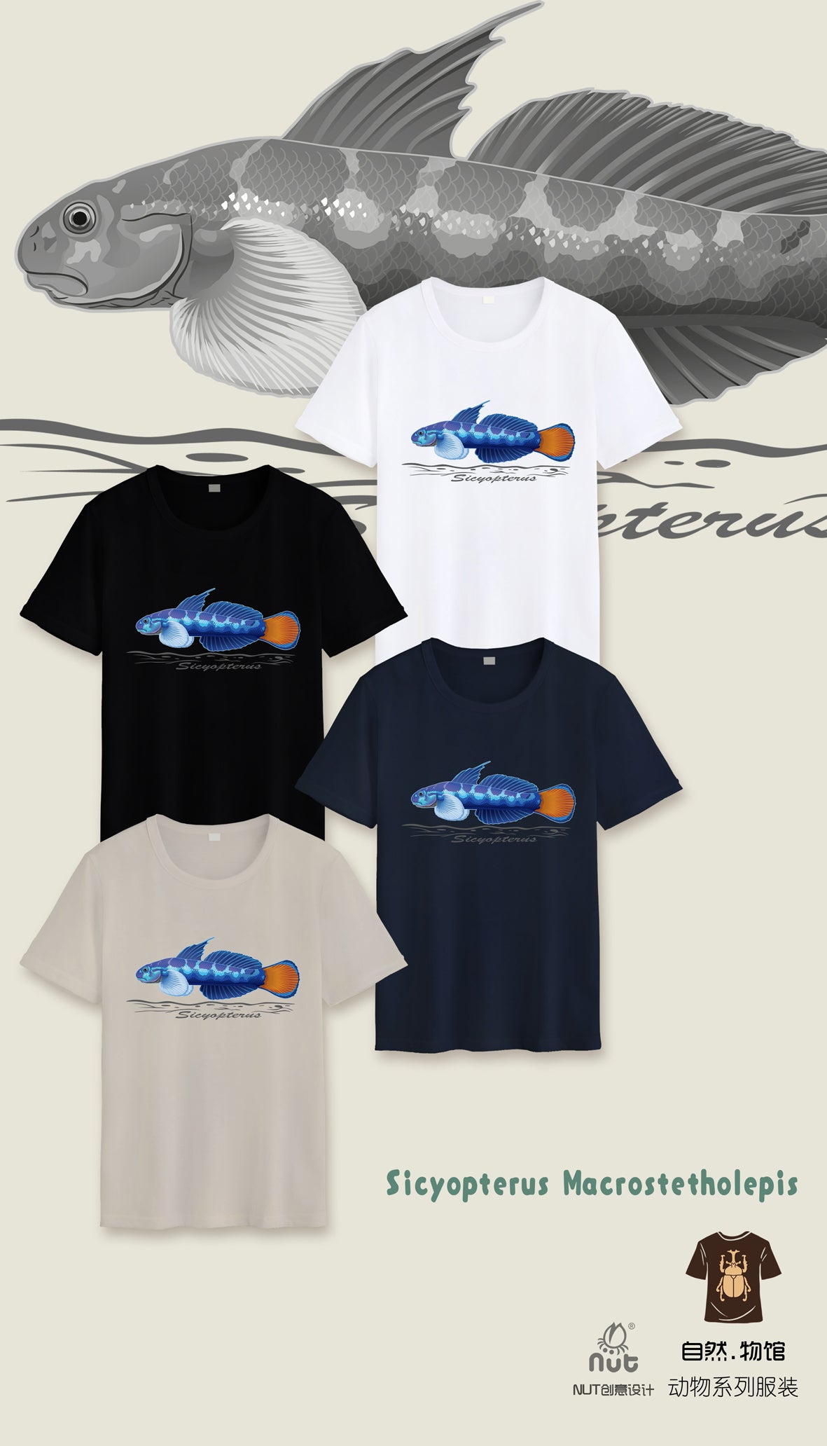 T-shirt Sicyopterus Macrostetholepis